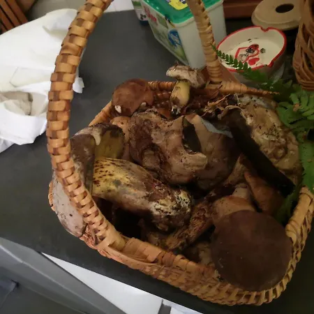 D'hotes La Terrasse D'argein Oda ve Kahvaltı