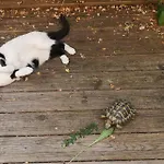 D'hotes La Terrasse D'argein Bed and breakfast 3*