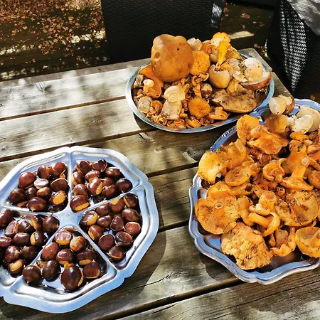 D'hotes La Terrasse D'argein 3* Argein