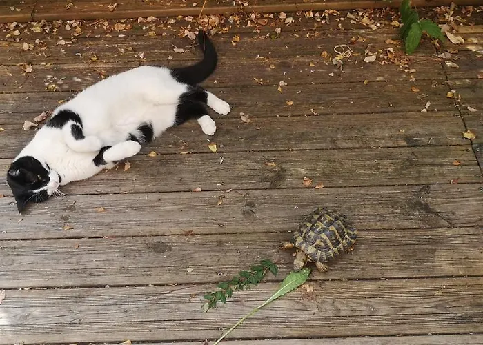 D'hotes La Terrasse D'argein Bed & Breakfast 3*